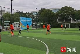 法甲德甲球队同时邀请五名中国国脚加盟引发热议